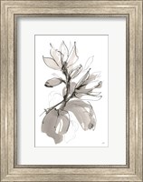 Magnolia I Fine Art Print