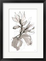 Magnolia I Fine Art Print
