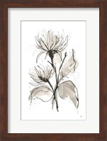 Chrysanthemum II Fine Art Print