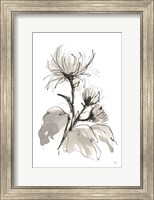 Chrysanthemum I Fine Art Print