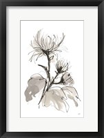 Chrysanthemum I Framed Print