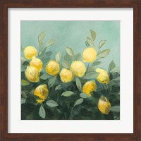 Lemon Grove II Fine Art Print