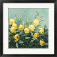 Lemon Grove II Fine Art Print