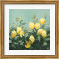 Lemon Grove I Fine Art Print
