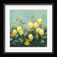 Lemon Grove I Framed Print