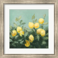 Lemon Grove I Fine Art Print