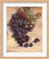 Grape Harvest III No Label Fine Art Print