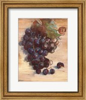Grape Harvest III No Label Fine Art Print
