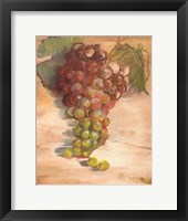 Grape Harvest II No Label Framed Print