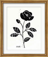 Bold Blooms II Fine Art Print