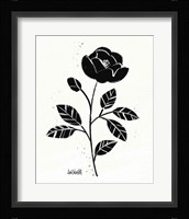 Bold Blooms II Framed Print