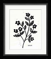 Bold Blooms III Framed Print