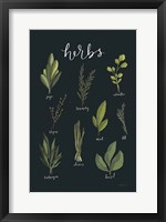 Light Green Herbs I Black Fine Art Print