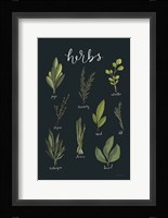 Light Green Herbs I Black Fine Art Print