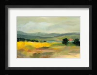 Sunflower Field Framed Print