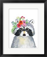 Sweet Raccoon Framed Print