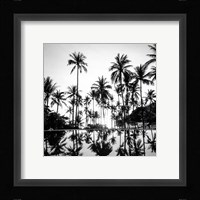 Photo D'Art No 5 Fine Art Print