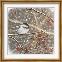 Snowberry Bird I Fine Art Print