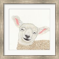 Smiling Sheep Fine Art Print