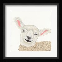 Smiling Sheep Fine Art Print
