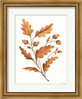 Fall Leaf Stem I Fine Art Print