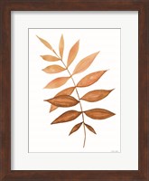 Fall Leaf Stem II Fine Art Print