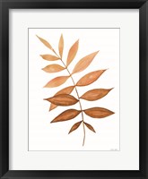 Fall Leaf Stem II Fine Art Print
