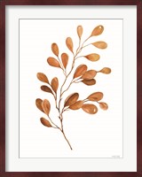 Fall Leaf Stem III Fine Art Print