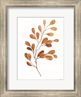 Fall Leaf Stem III Fine Art Print