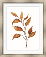 Fall Leaf Stem IV Fine Art Print