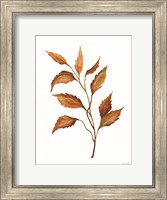 Fall Leaf Stem IV Fine Art Print