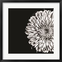 Black and White Love II Fine Art Print