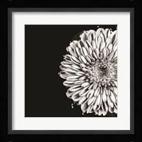 Black and White Love II Fine Art Print