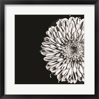 Black and White Love II Fine Art Print