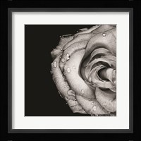 Lost Love Fine Art Print