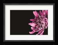 Love Intertwined II Fine Art Print