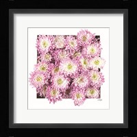 Pretty in Purple II Fine Art Print