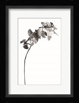 I Have an Inkling Fine Art Print