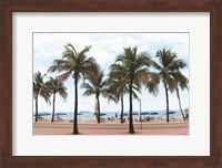 Florida Palms Fine Art Print
