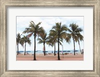 Florida Palms Fine Art Print