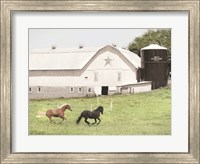Afternoon Run on the Farm Fine Art Print