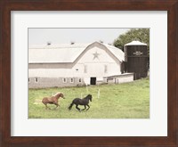 Afternoon Run on the Farm Fine Art Print