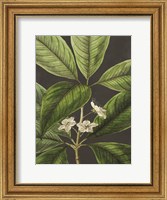 Grand Leaves Fine Art Print