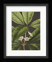 Grand Leaves Fine Art Print