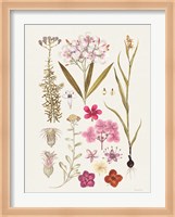 Vintage Bloom Study Fine Art Print