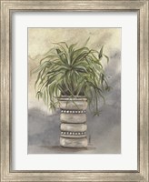 Spider Plant in Pottery Fine Art Print
