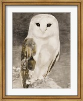 Snowy Owl 1 Fine Art Print