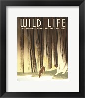 Wild Life Fine Art Print