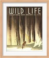 Wild Life Fine Art Print