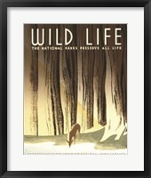 Wild Life Fine Art Print